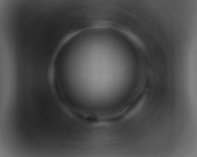 X0000101440846200807071401