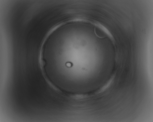 X0000101440847200807071401