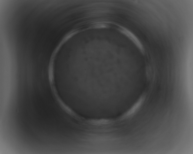 X0000101440851200807071401