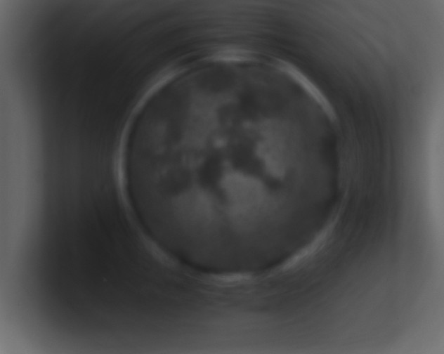 X0000101440853200807071401