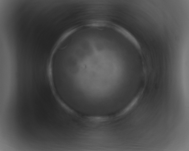 X0000101440855200807071401