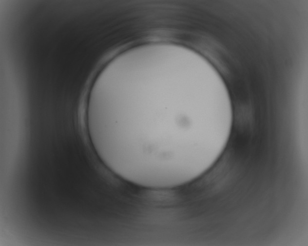 X0000101440856200807071401