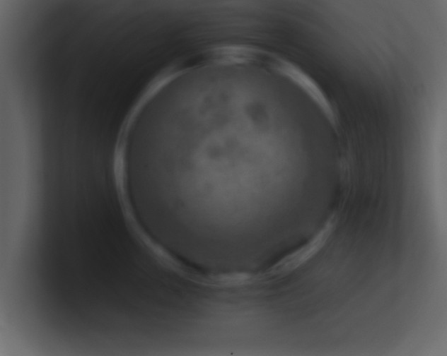 X0000101440859200807071401