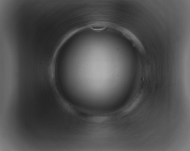 X0000101440860200807071401