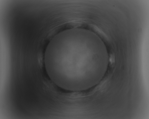 X0000101440867200807071400