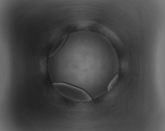 X0000101440868200807071400