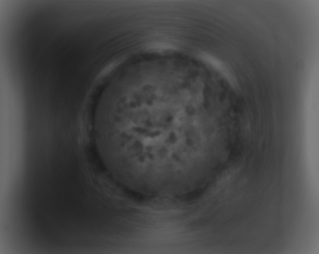 X0000101440871200807071400