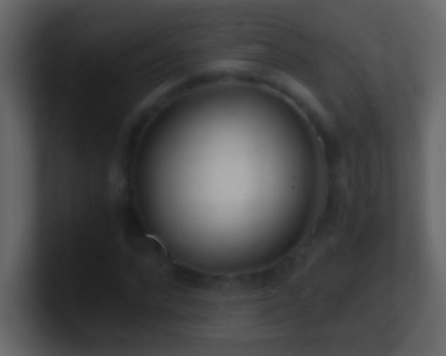 X0000101440872200807071400