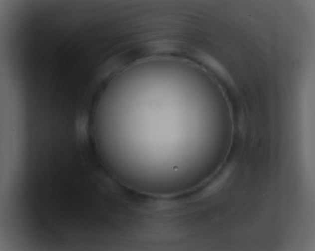 X0000101440873200807071400