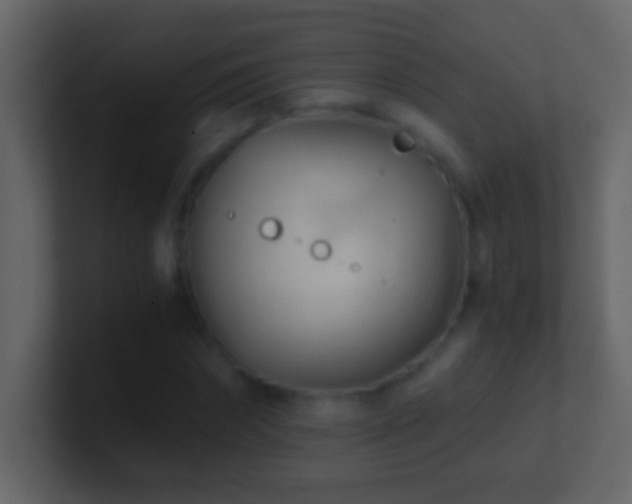 X0000101440874200807071400