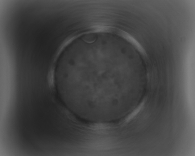 X0000101440875200807071400