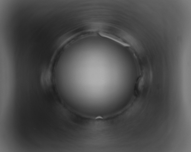 X0000101440876200807071400