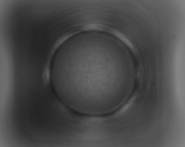 X0000101440877200807071400