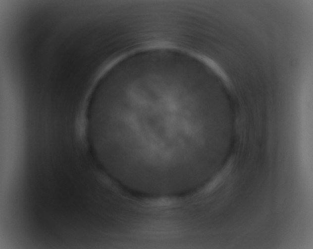 X0000101440879200807071400