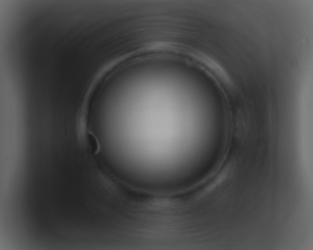 X0000101440880200807071400