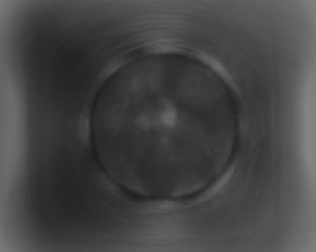 X0000101440881200807071400