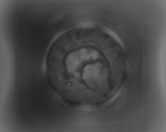 X0000101440883200807071400