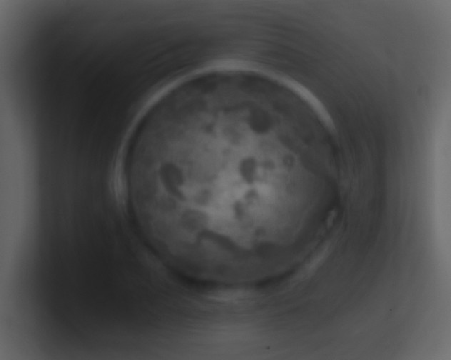 X0000101440887200807071400