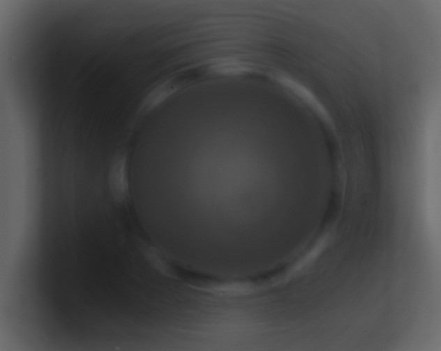 X0000101440889200807071400