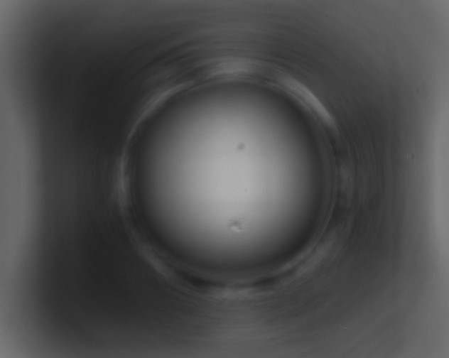 X0000101440890200807071400