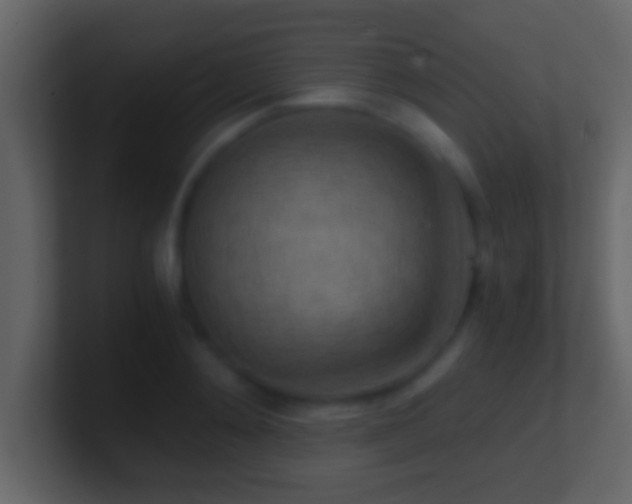 X0000101440892200807071400