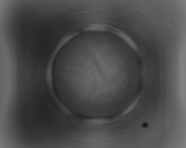 X0000101440893200807071400