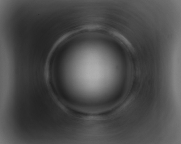 X0000101440894200807071400