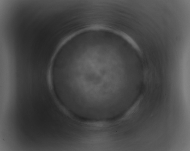 X0000101440895200807071400