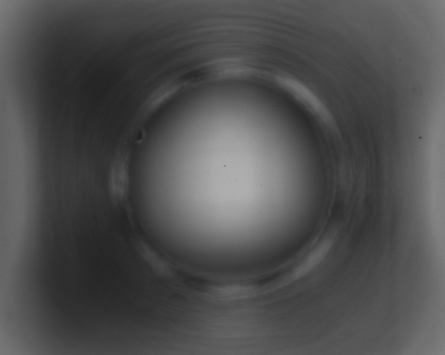 X0000101440897200807071400