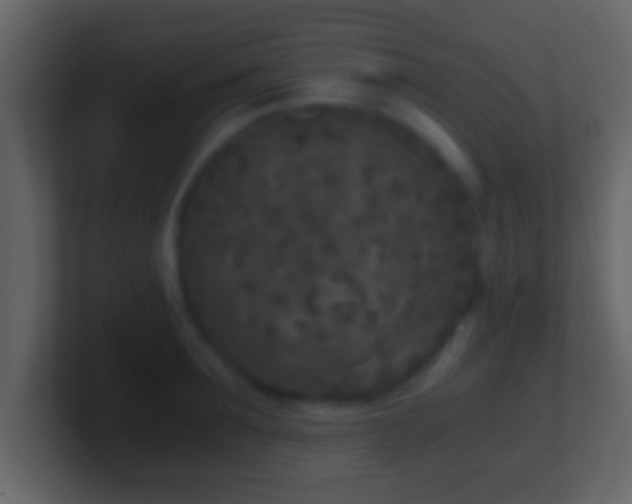 X0000101440899200807071400