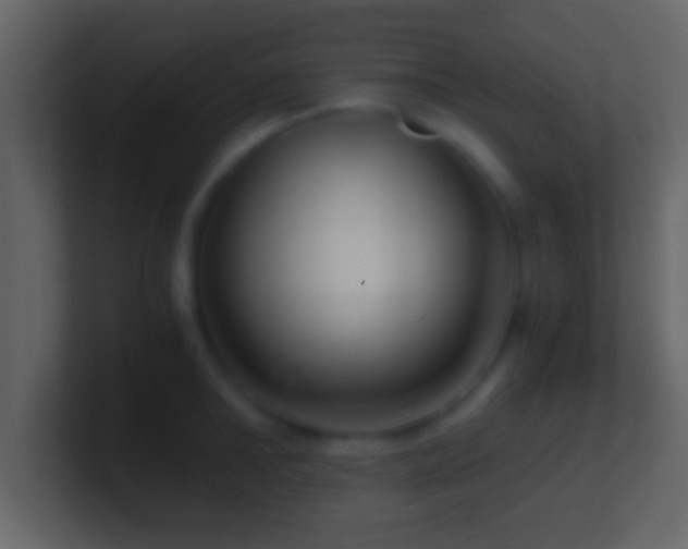 X0000101440902200807071400