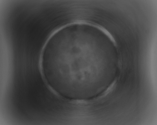 X0000101440903200807071400