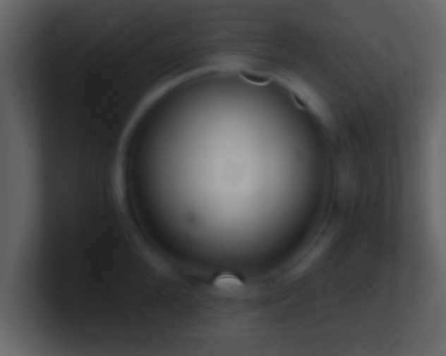 X0000101440904200807071400