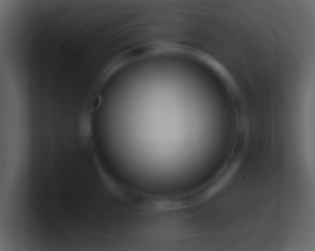 X0000101440905200807071400