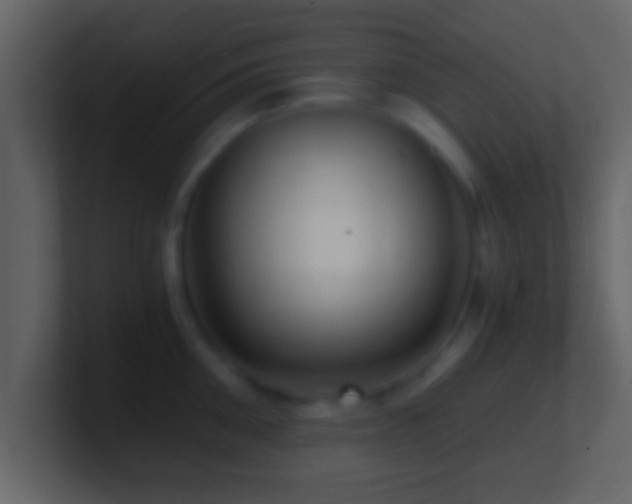 X0000101440906200807071400