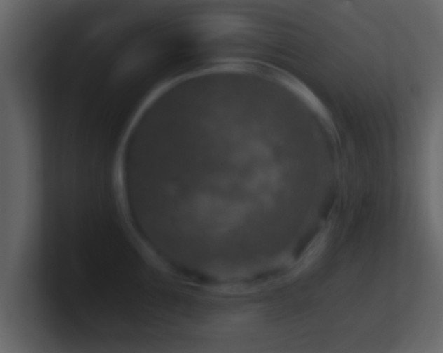 X0000101440907200807071400