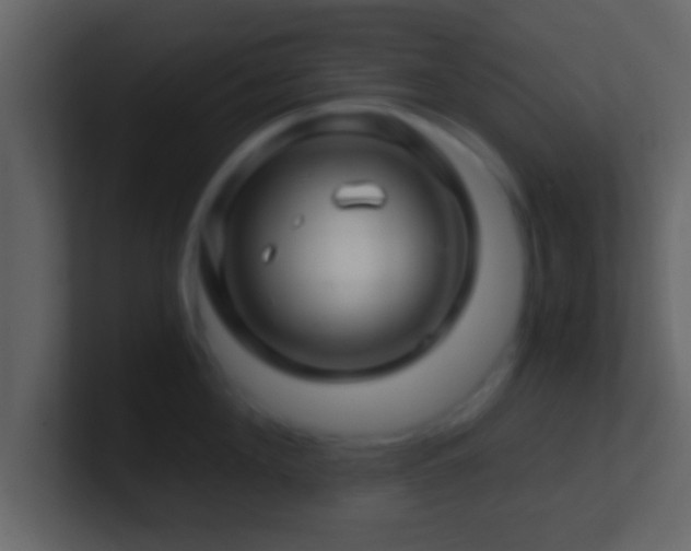 X0000101440908200807071400