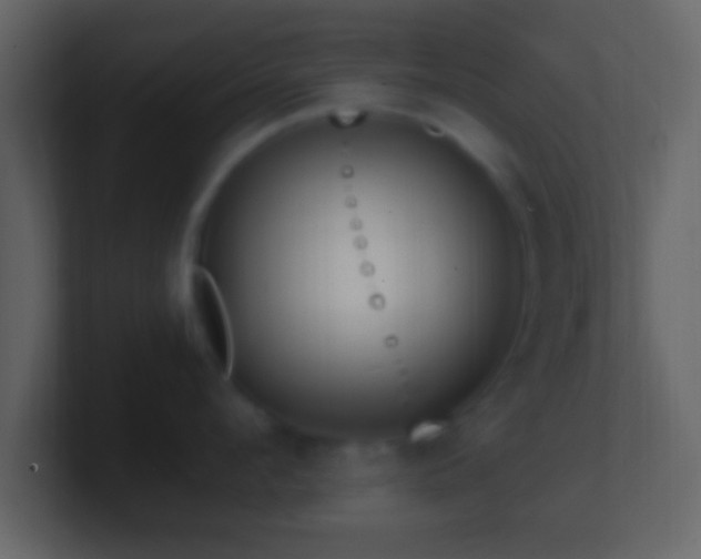 X0000101440912200807071400