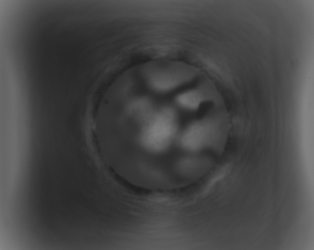 X0000101440913200807071359