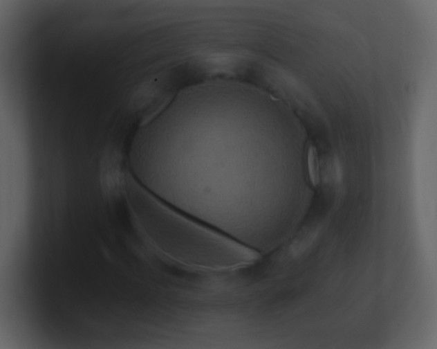 X0000101440916200807071359