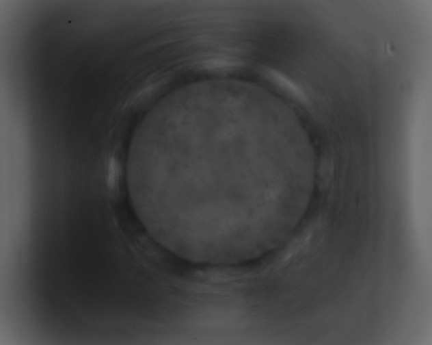 X0000101440917200807071359