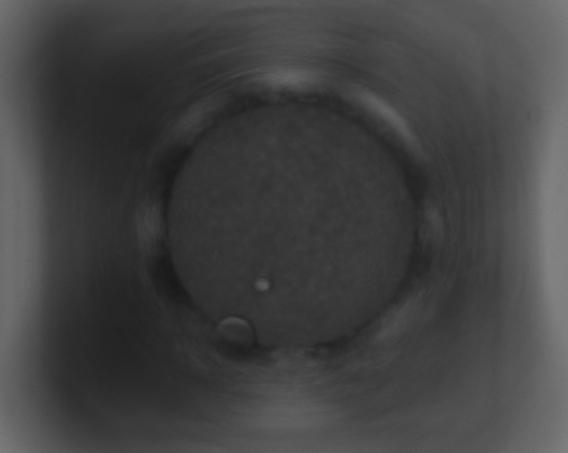 X0000101440918200807071359