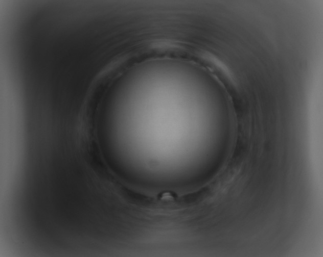 X0000101440919200807071359