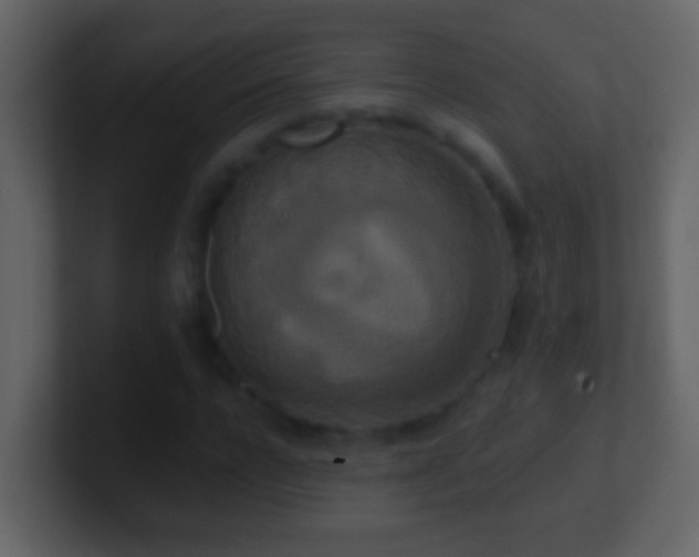 X0000101440920200807071359