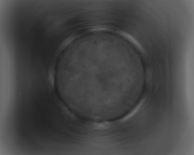 X0000101440921200807071359