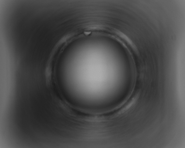 X0000101440922200807071359