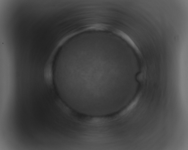 X0000101440923200807071359