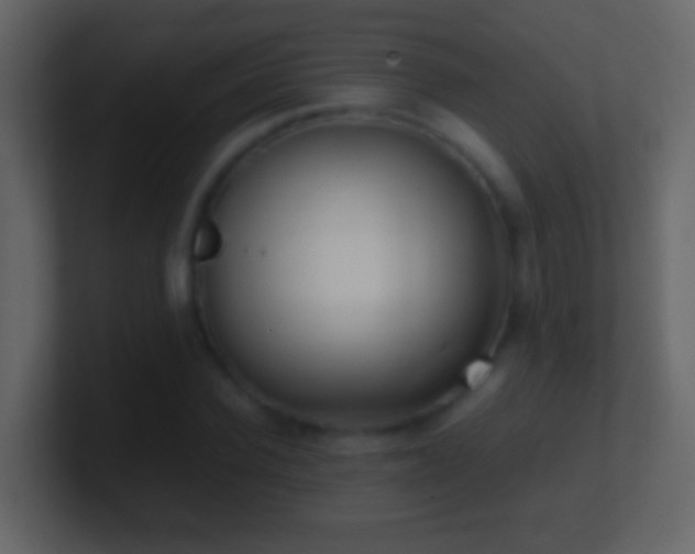 X0000101440924200807071359