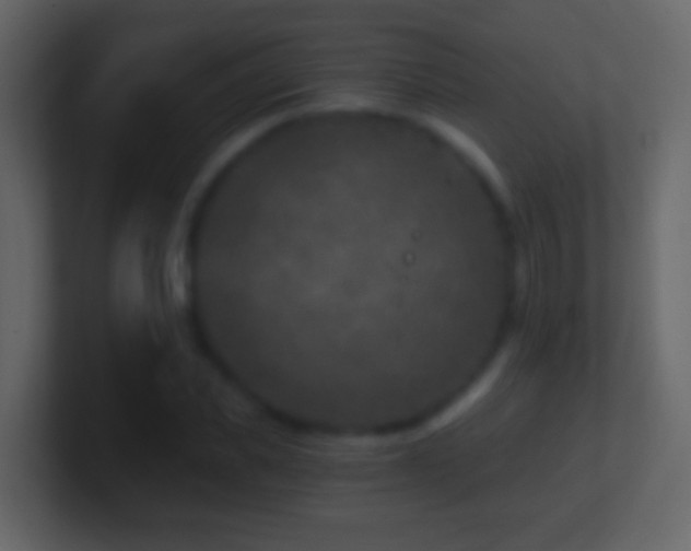 X0000101440925200807071359