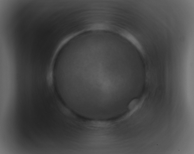 X0000101440928200807071359